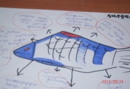 Ашық сабақ:«Негізгі тригонометриялық тепе-теңдіктер»
