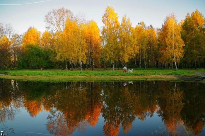 Конспект уроку з української мови Форми дієслова(7 клас)