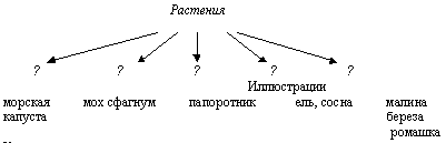 Поурочные планы по предмету Познание мира, 2 четверть