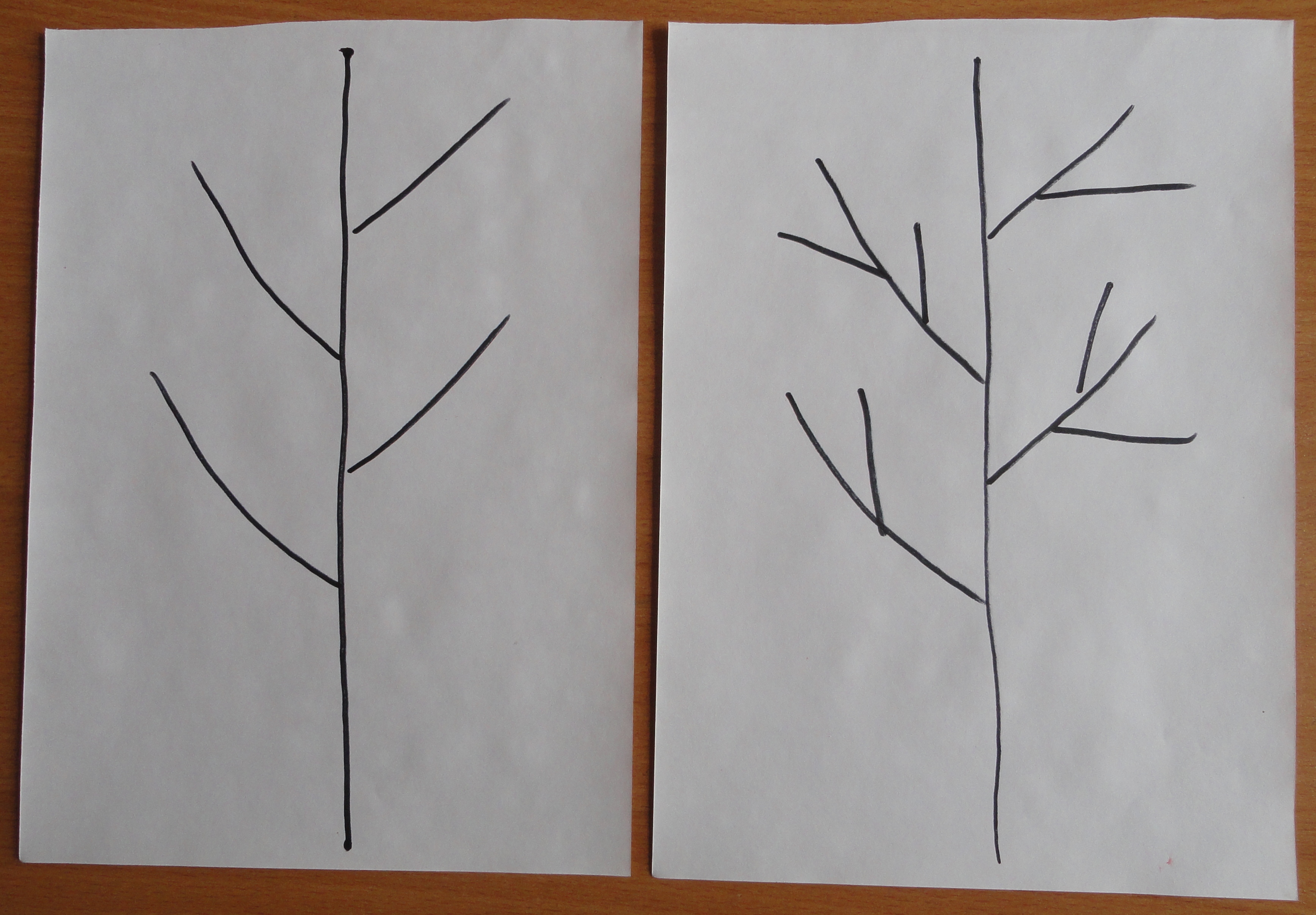Рисование дерева в средней группе
