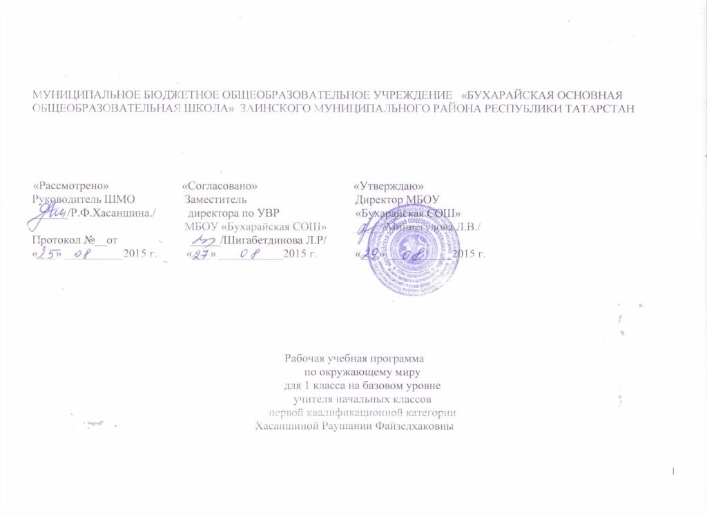 Рабочая программа по окружающему миру 1 класс (Перстектива)