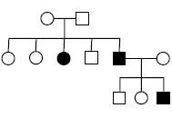 Карточки Генетические задачи по родословным (11 класс)
