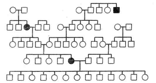 Карточки Генетические задачи по родословным (11 класс)