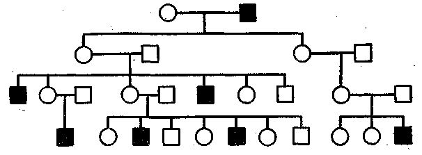 Карточки Генетические задачи по родословным (11 класс)