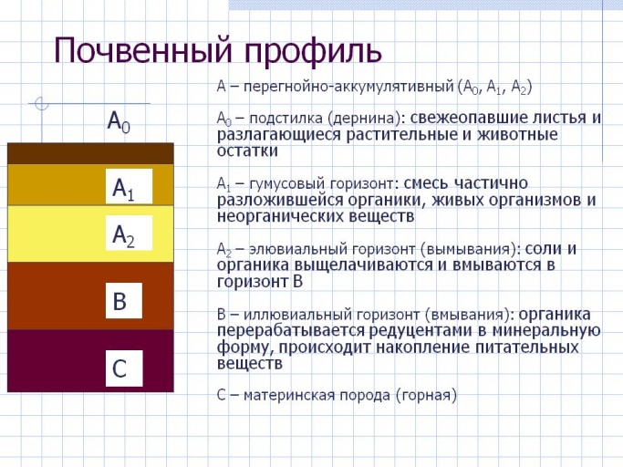 Контрольные (практические) задания для промежуточной аттестации 5-8 класса