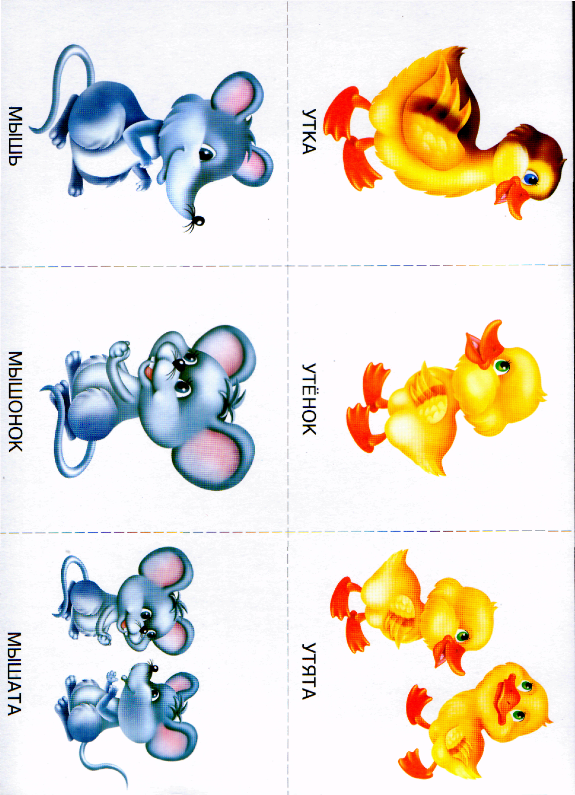 Животные и Детеныши карточки для детей