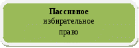 Разработка Парламентского урока на тему «Гражданин и выборы.»