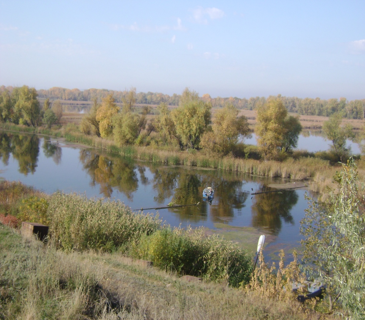 Исследовательская работа на тему Экологические проблемы реки Волги
