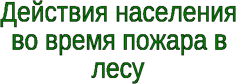 Урок Профилактика лесных и торфяных пожаров