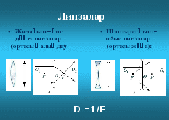 Ашық сабақ: Көздің құрылысы