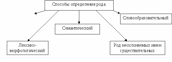 Разработка урока по русскому языку для 6 класса Существительные общего рода