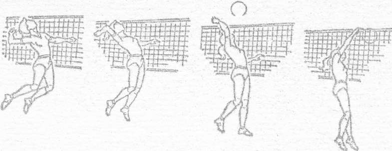 Статья: «Волейбол»