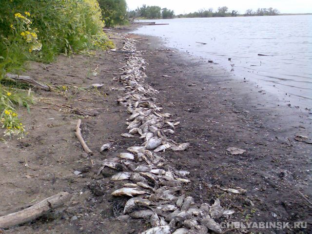 Все, что сердцу дорого...