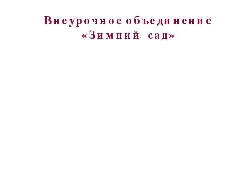 Социальный проект Зимний сад в школе