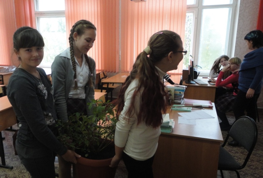 Социальный проект Зимний сад в школе