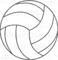 Рабочая программа дополнительного образования «Волейбол» для учащихся 5–9 классов