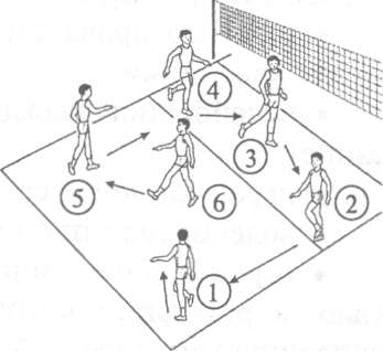 Рабочая программа дополнительного образования «Волейбол» для учащихся 5–9 классов