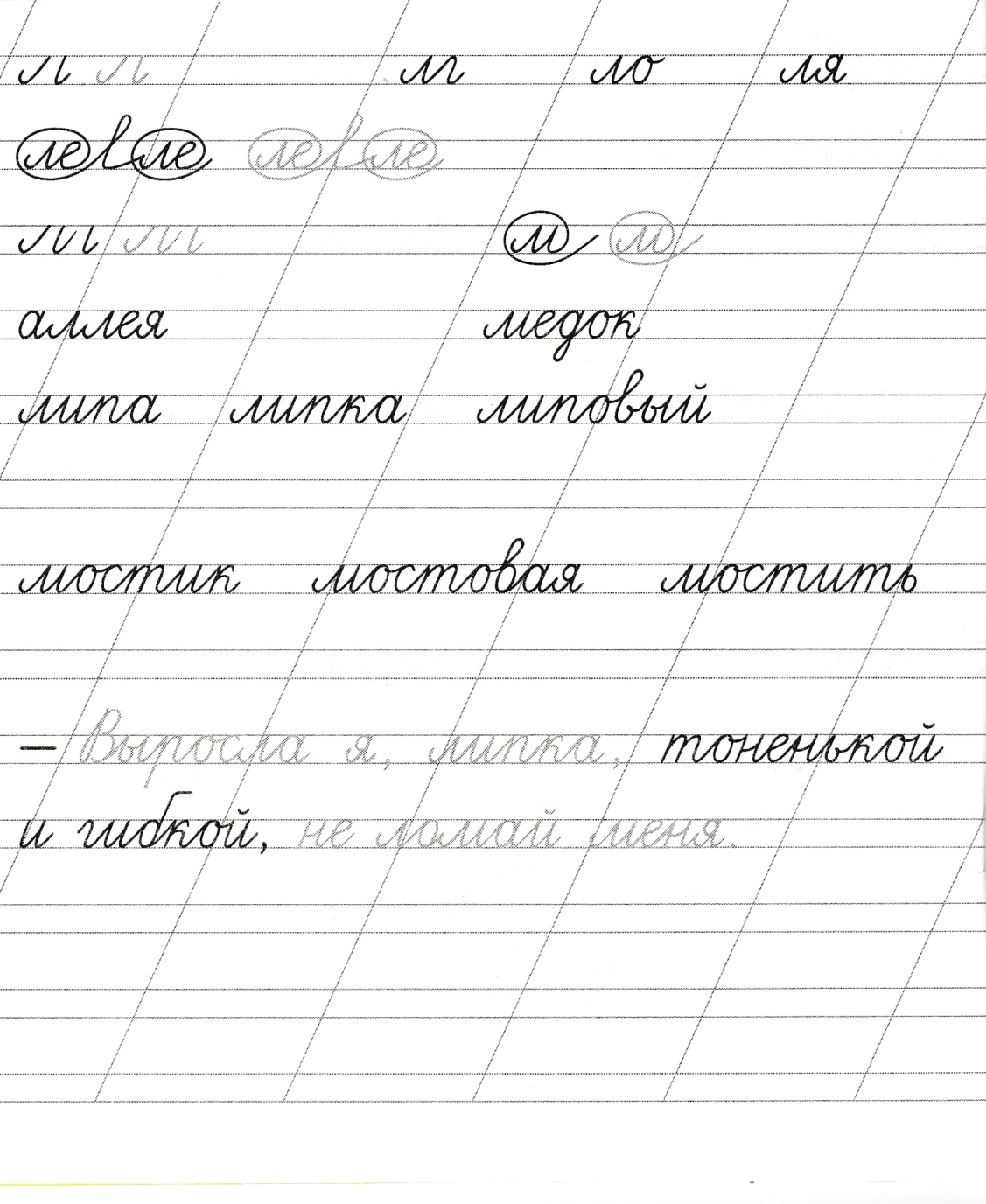 Чистописание в 5 классе образцы распечатать