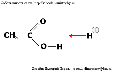 Программа элективного курса (10 кл)