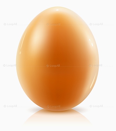 Проектная работа по физике 7-8 класс Необыкновенное куриное яйцо или физика яйца