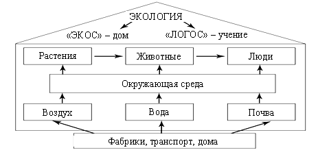 Поурочные разработки по окружающему миру