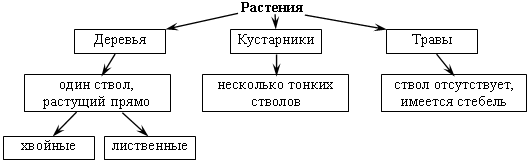 Поурочные разработки по окружающему миру