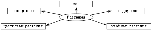 Поурочные разработки по окружающему миру