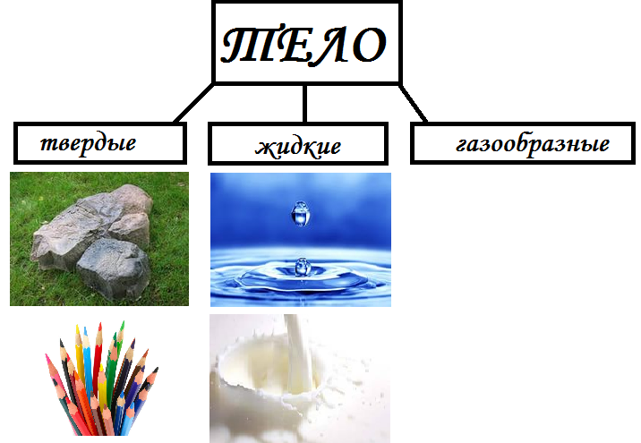 Конспект урока по окружающему миру на тему