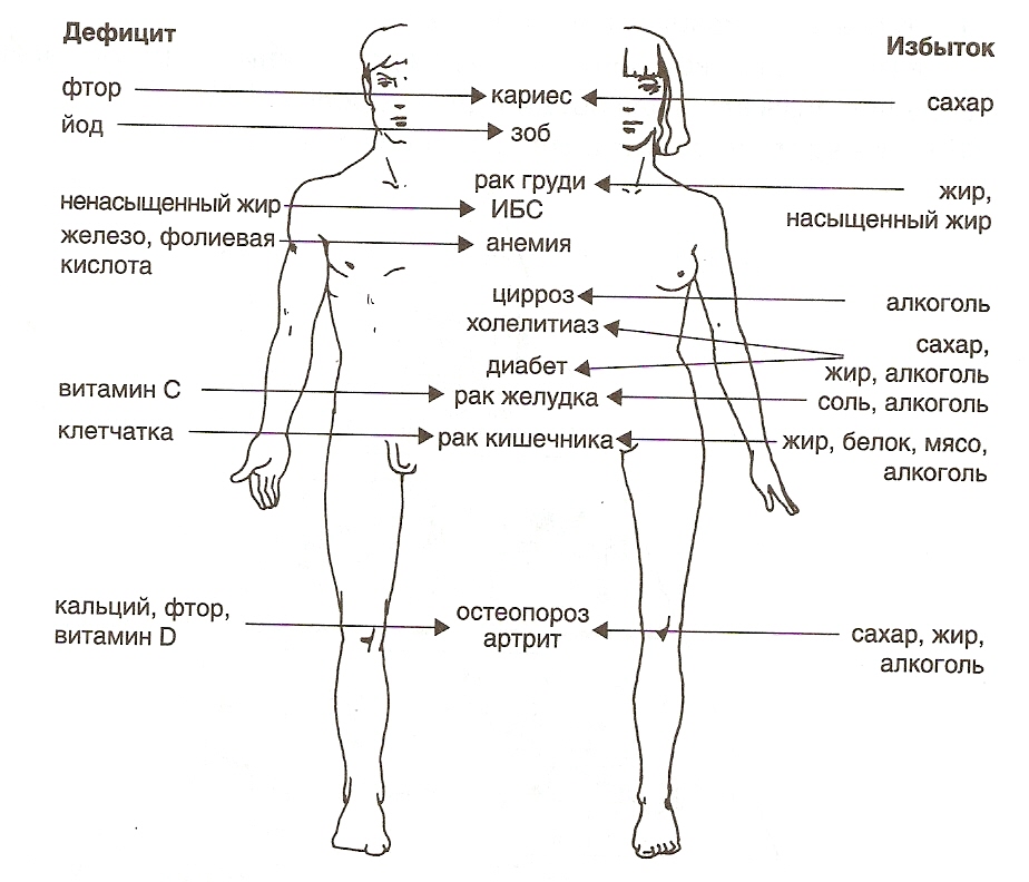 Классный час Здоровье и питание