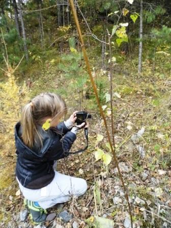 Методические советы по организации внеурочной деятельности по географии и экологии Экспедиция юных натуралистов