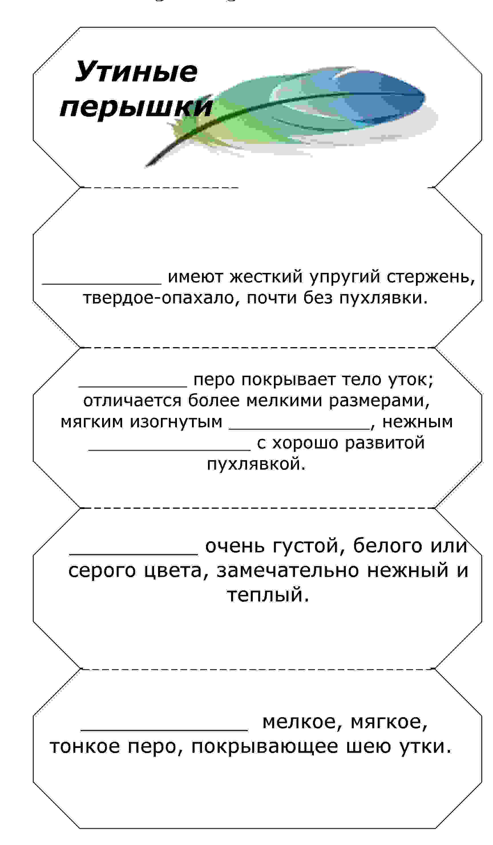 Для вас, воспитатели Шаблоны лэпбуков