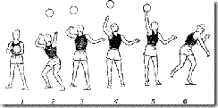 Занятия, уроки по волейболу на тему Элементы волейбола