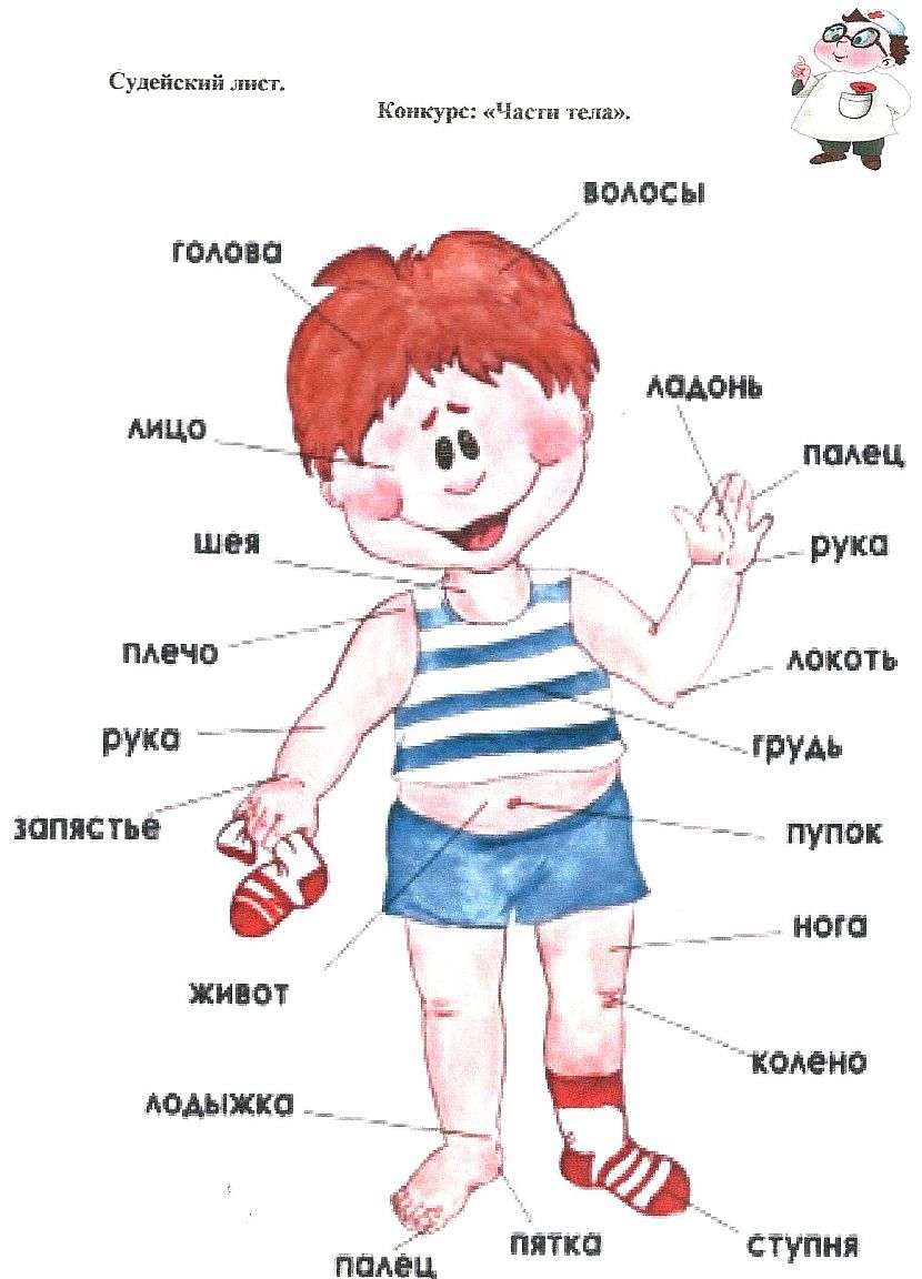 Методическая разработка биологической конкурсной игры Главное чудо света - ЧЕЛОВЕК