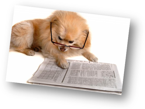 Исследовательская работа по биологии «Основные правила и методы дрессировки собак на примере собак породы немейкий малый шпиц