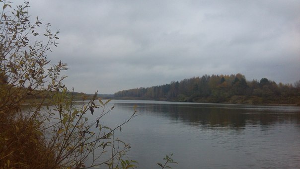 Викторина по природоведению 5-6 класс Назови предмет, животное или место