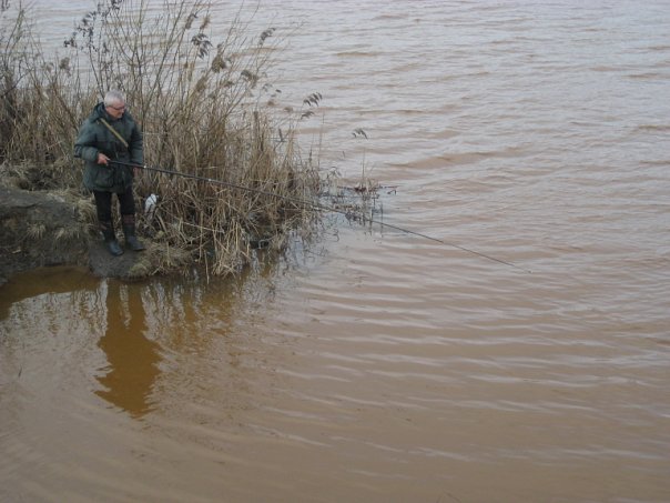 Викторина по природоведению 5-6 класс Назови предмет, животное или место