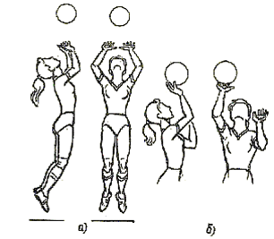 Урок по физической культуре на тему Волейбол (8 класс)