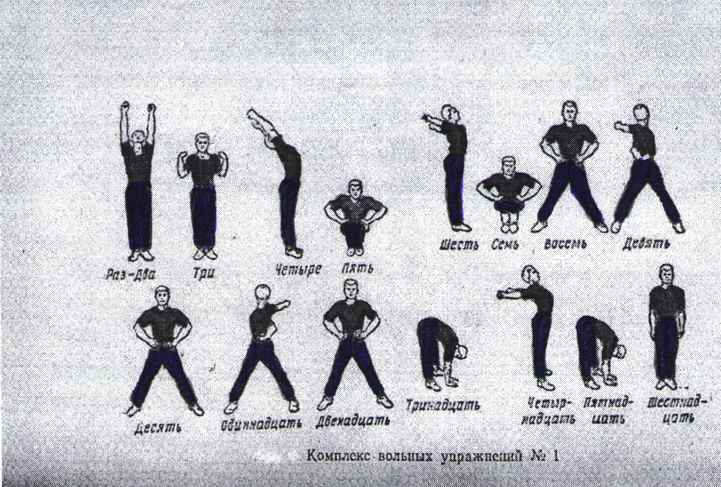 Комплекс вольных упражнений 1