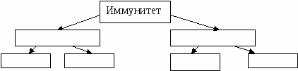 Рабочая тетрадь для сдачи карта человеческого тела