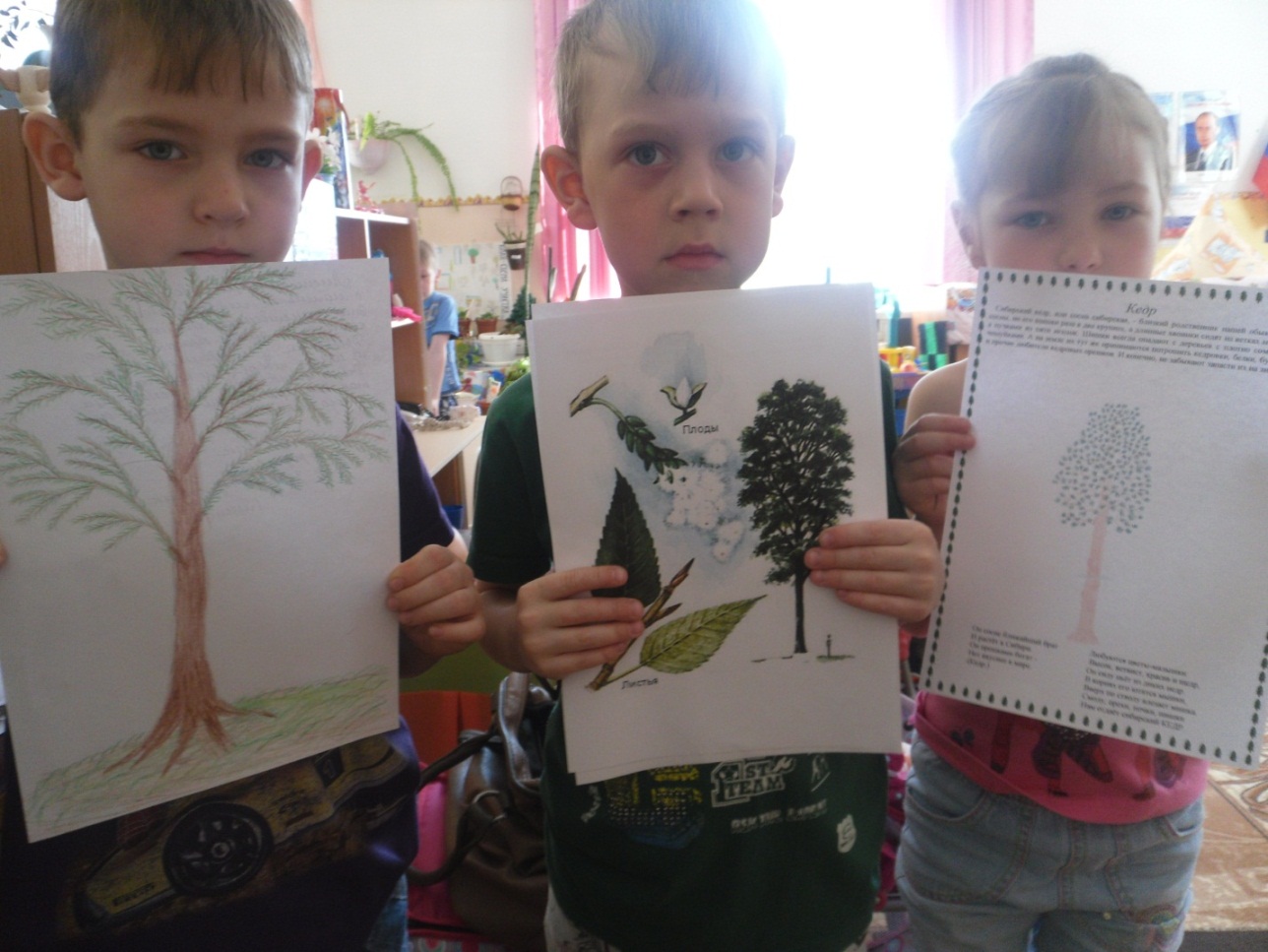Паспорт детского экологического проекта Кедрёнок