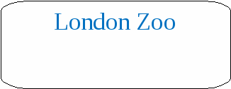 Урок английского языка «London Zoo» (6 класс)