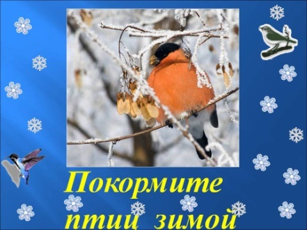 Клубный час по теме: «Покормите птиц зимой»