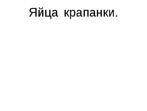 Конспект урока по теме: «Проект: Пасха- Светлое Христово Воскресение»