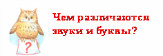 Урок русского языка в 5 классе