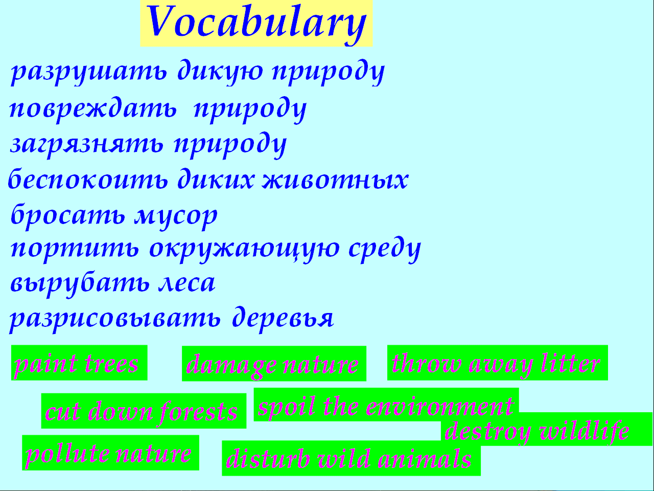 Разработка урока Экология. Защита окружающей среды.