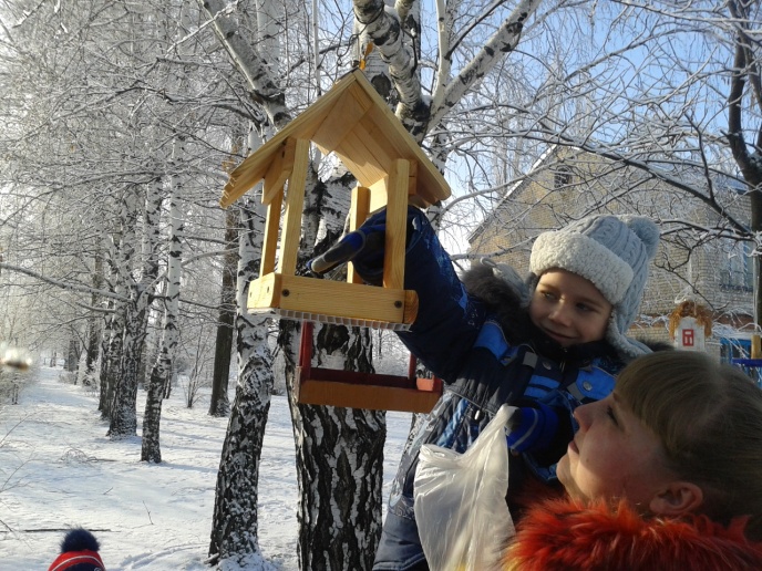 Отчёт за акцию Покорми птиц зимой