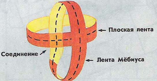 Исследовательская работа по математике по теме «Секреты листа Мёбиуса»