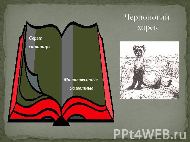 МЕТОДИЧЕСКАЯ РАЗРАБОТКА УРОКА окружающий мир 2 класс