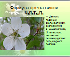 Конспект открытого урока по биологии Строение цветка