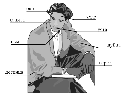 Конспект по русскому языку Устаревшие и новые слова 3 класс